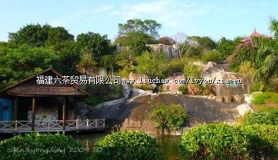 ����̨�����״�