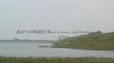 杏林湾钓鱼基地