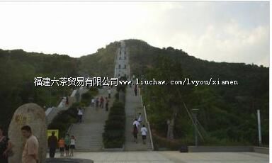 青礁慈济宫(慈济东宫)