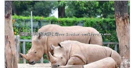 海沧野生动物园