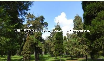 兑山革命烈士陵园