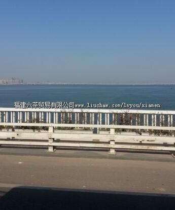 ���Ŵ���+