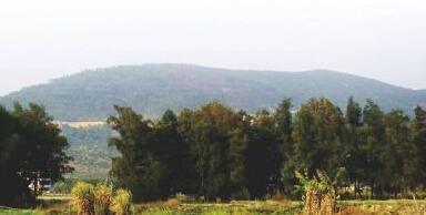 ����Ժ��ַ