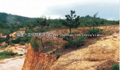 �谲��Ҥ��ַ