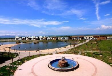 С���������