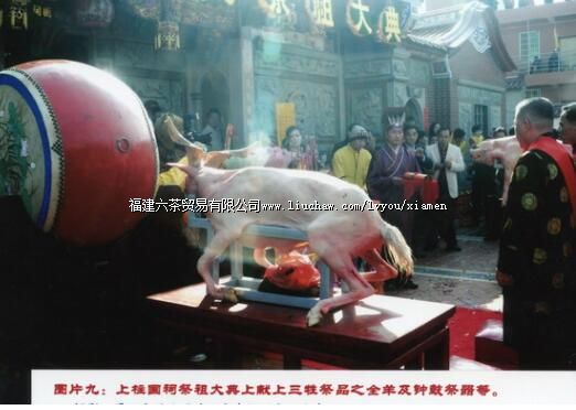 开厦上柱国祠陈氏祭祖习俗