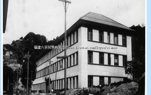 ����������һҽԺ����