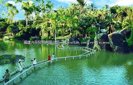 ��ʯ����