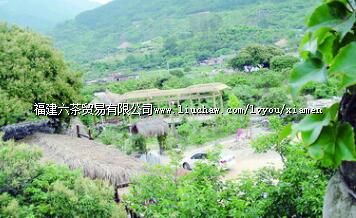 田园风光农家游