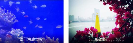 �ʺ�ȫ��-�����Σ����������������������