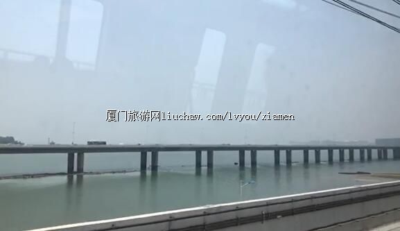 �����Ͽ������Ŵ��ţ�