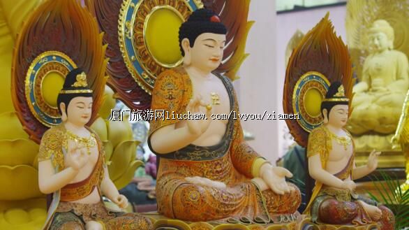 �й����Ź��ʷ�����Ʒ(����)չ����