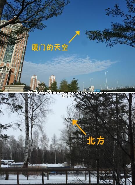 ָ�ϣ�ʮ����ȥ���Ŵ�ʲô����������ʮ���µ����ſ�������Щ�ط���