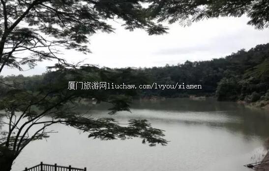 ָ�ϣ���������ɽ����Ҫ��Ʊ��