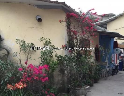 ָ�ϣ��������й���