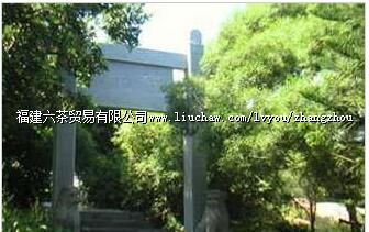 ��ɽ����