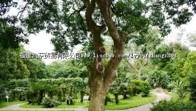 ����ɽ��ַ