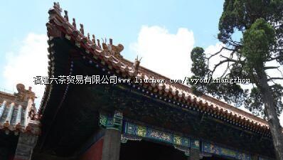 ·��������