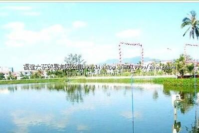 �����Ƿ���԰ˮ���羰��