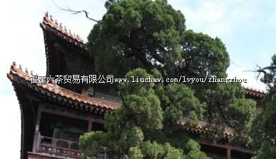 �������ϼ���