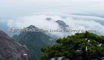 长泰国家森林公园