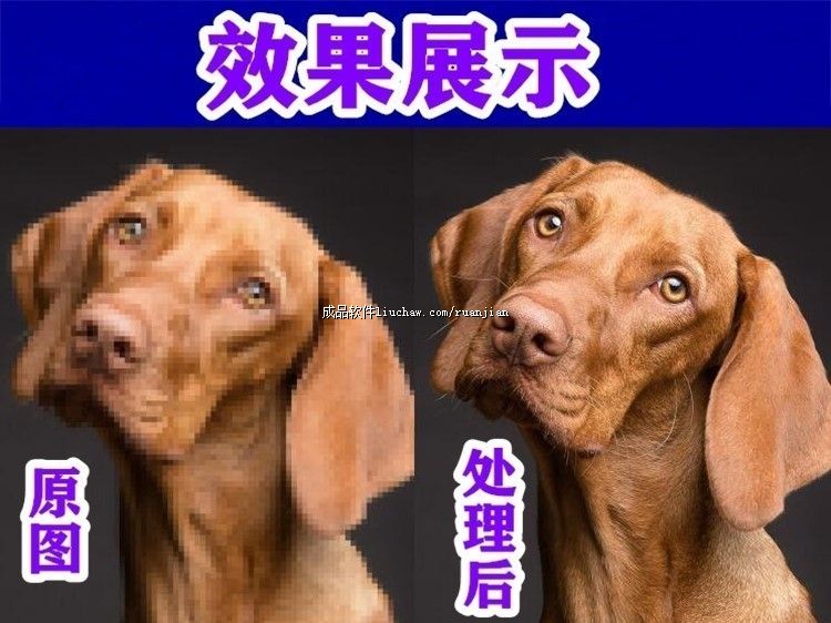 tp ��30Ԫ ͼƬ����Ŵ�����