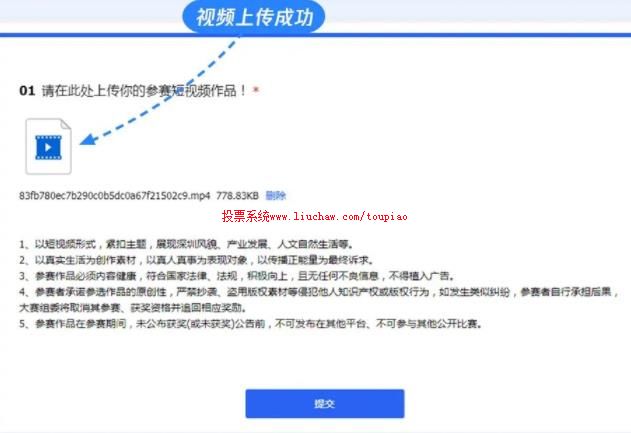 ����Ƶ������������