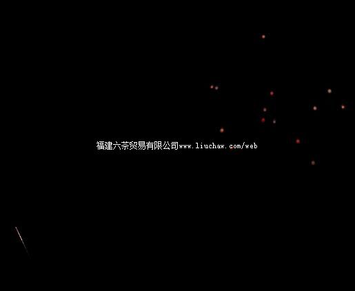 tx047烟花 售100元 定制200元