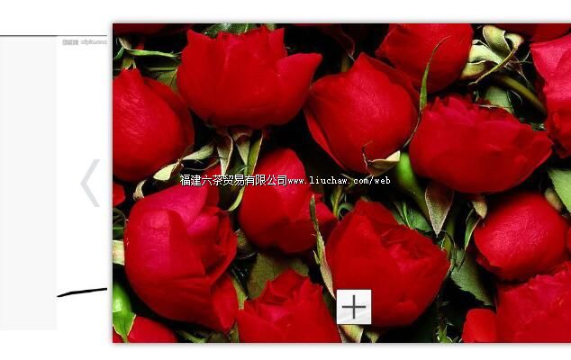 tx065����ͷͼƬ����ֲ��л� ��100Ԫ ����200Ԫ