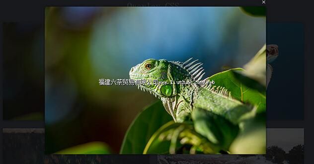 tx068�Ŵ����ͼƬԤ�� ��100Ԫ ����200Ԫ