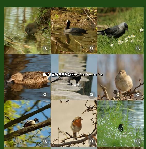 tx081��ᣨ�ֻ�+���ԣ� ��100Ԫ ����200Ԫ