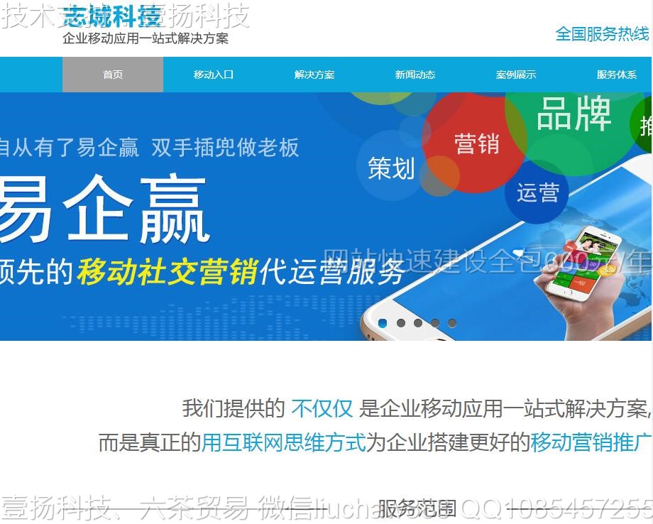 营销-网络营销网站模板0210moban