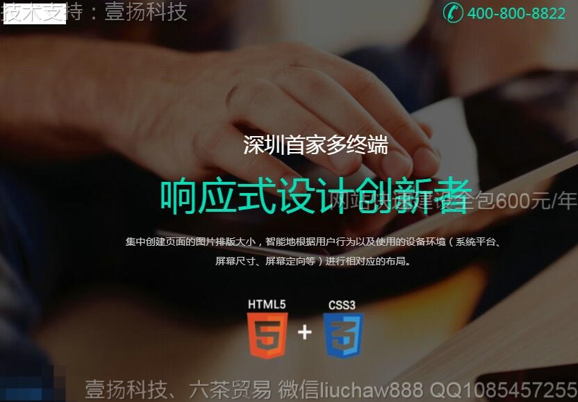 网络-高端网站模板0417moban