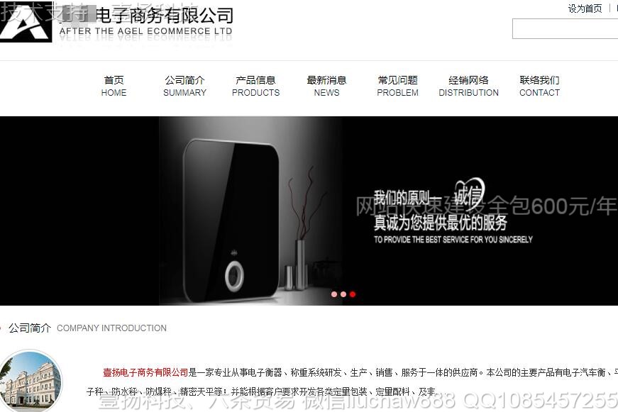 电子-电子商务公司模板3721moban