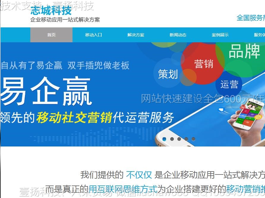 营销-网络营销网站模板0210moban.