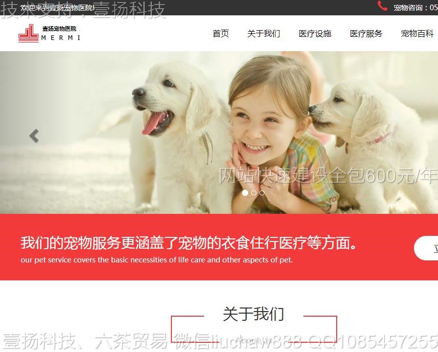 ����-����ҽԺ��վģ��46moban