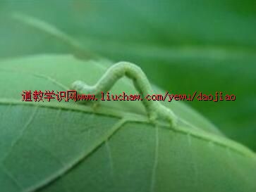 22《遥想当年老子讲道》系列:第二十二章