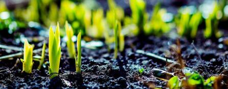 16《遥想当年老子讲道》系列:第十六章