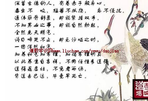 ¬�������ڽ������¾�������ʮ����