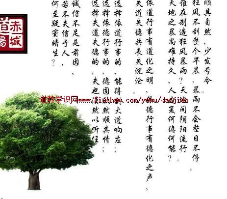 ¬�������ڽ������¾����ڶ�ʮ����