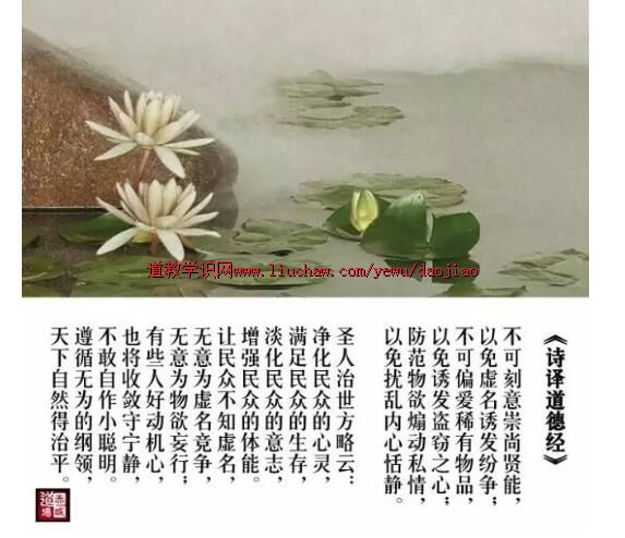 卢国龙教授讲《道德经》第三章