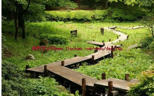 不忘初心,方得始终——网络流行语竟源自《道德经》 不忘初心,方得始终——网络流行语竟源自《道德经》