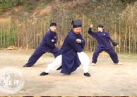 ����ѧ������VIP�˺ţ� ����10Ԫ