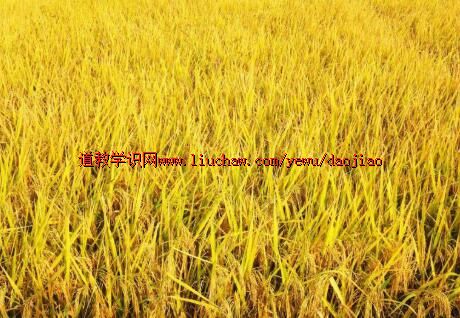 30��ң�뵱�����ӽ�����ϵ�У�����ʮ��