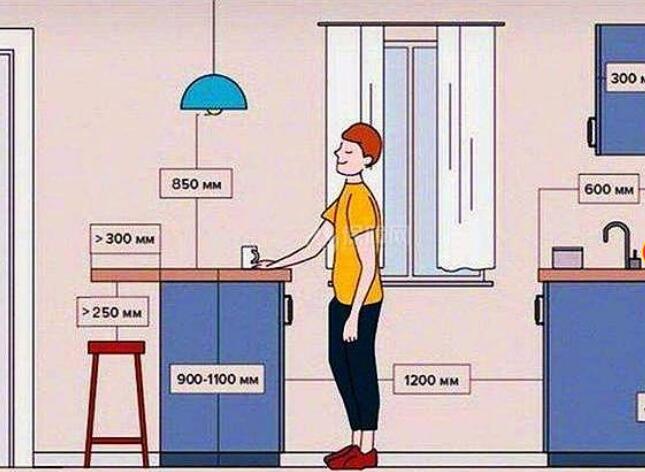 ȫ�ݲ����߶ȳߴ� �������幤��ѧ