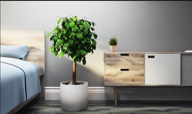 ���㷿�������������� ������ÿ����ܼ��