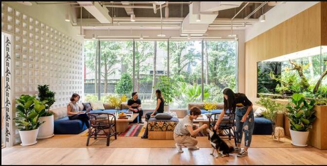 自然舒适的办公室设计 为家居设计带来充满活力的灵感