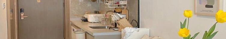 24�O��LOFTס��Ҳ��� ����4.8�ײ��������