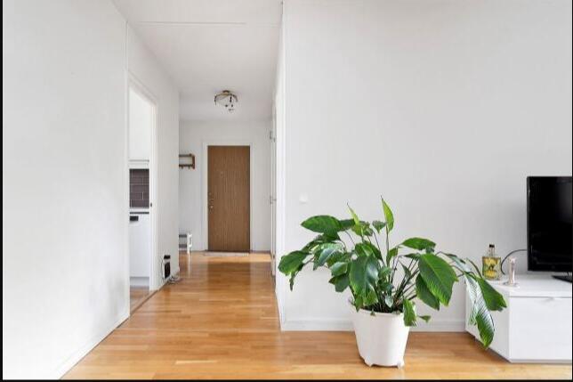 �����Ƿ��ȫ�ݹδ�� ����һ�¶����������