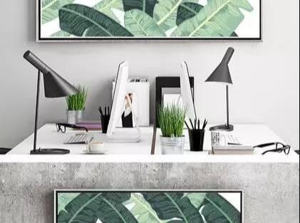 我在北欧小家里放上绿植 竟可以这么美!